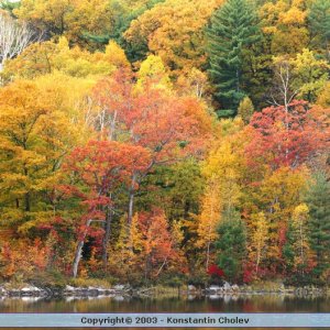 Nature Pic  51