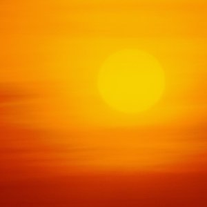 Nature Pic  853