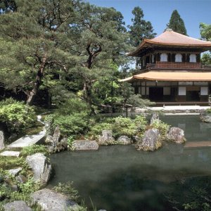 Nature Pic  182