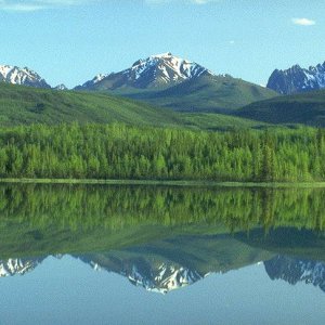 Nature Pic  210