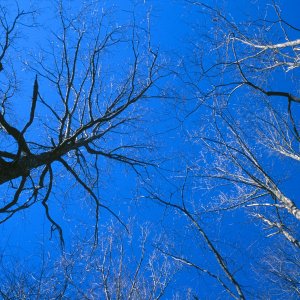 Nature Pic  880