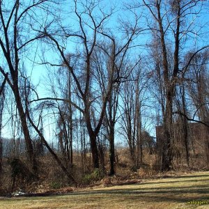Nature Pic  1110