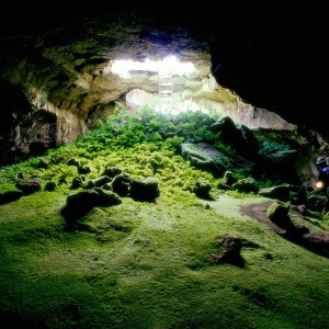 Nature Pic  1135