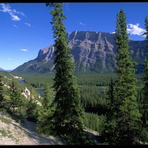Nature Pic  513