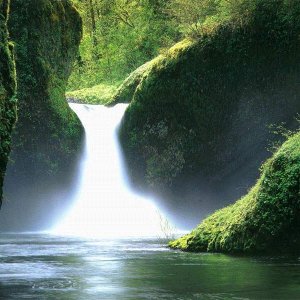 Nature Pic  1208