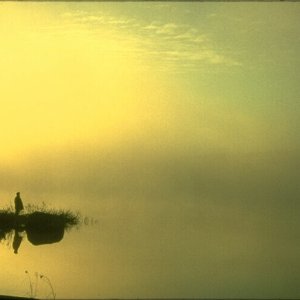 Nature Pic  219