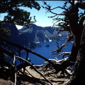 Nature Pic  686