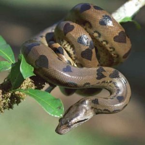 Nature Pic  1122