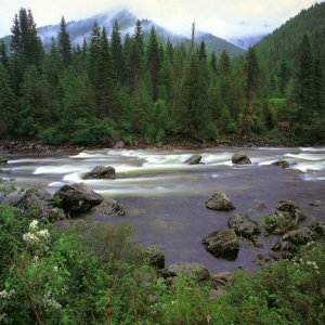Nature Pic  887