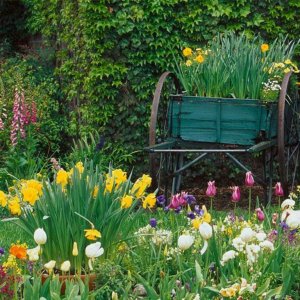 Nature Pic  1046