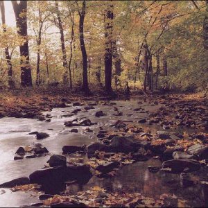 Nature Pic  354