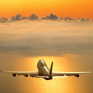 Nature Pic  972