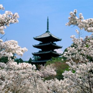 Nature Pic  602