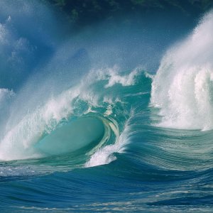 Nature Pic  683