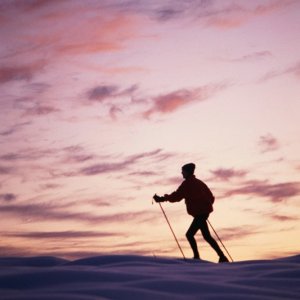 Nature Pic  284