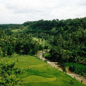 Nature Pic  813