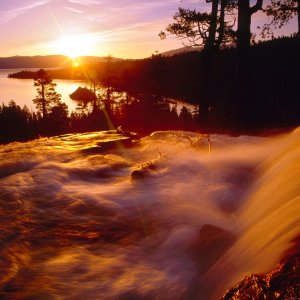 Nature Pic  874