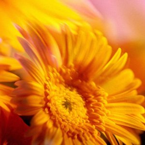 Nature Pic  1131
