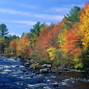 Nature Pic  665