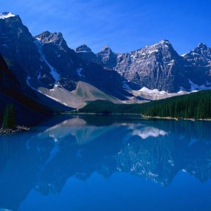 Nature Pic  1147
