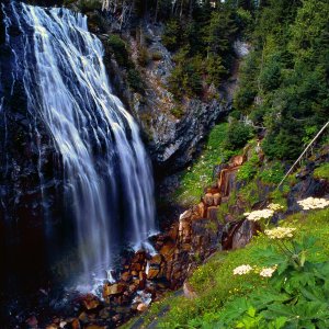 Media 'Nature Pic  1150' in category 'Nature Photos'