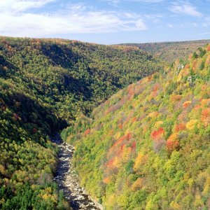 Nature Pic  539