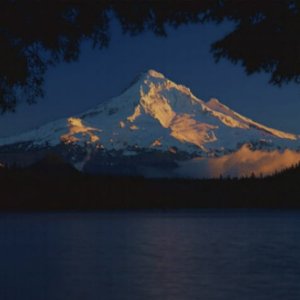 Nature Pic  1010