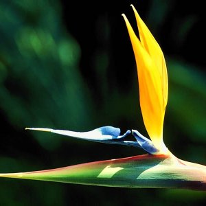 Nature Pic  1723