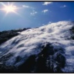 Nature Pic  2251