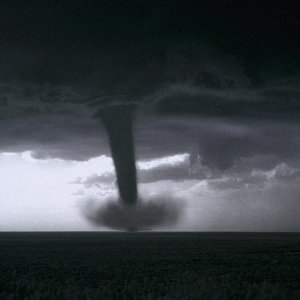 Nature Force Pic  36