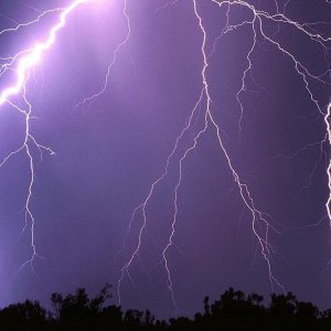 Nature Force Pic  16