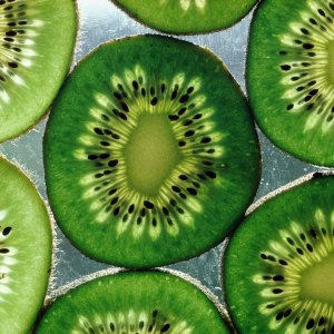 Nature Pic  1231