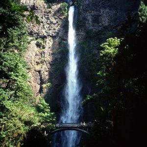 Nature Pic  1552