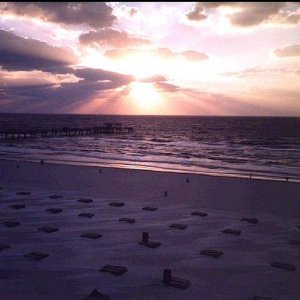 Nature Pic  527