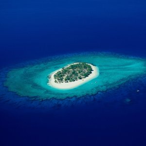 Nature Pic  1009