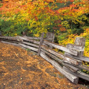 Nature Pic  2169