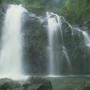 Nature Pic  1803