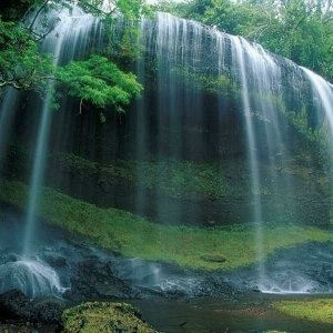 Nature Pic  1688