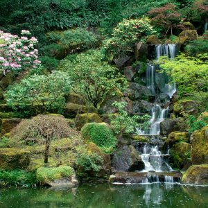 Nature Pic  1213
