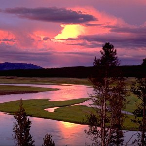 Nature Pic  694