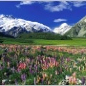 Nature Pic  2258