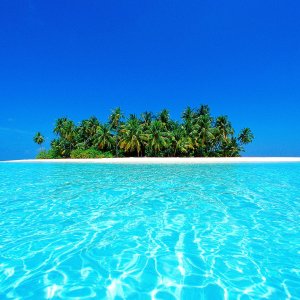 Nature Pic  397
