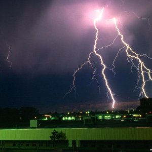 Nature Force Pic  6