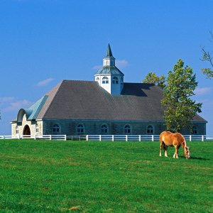 Nature Pic  787