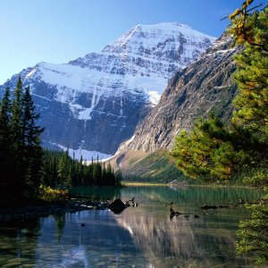 Nature Pic  1439