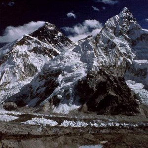 Nature Pic  1351
