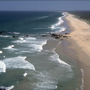 Nature Pic  221