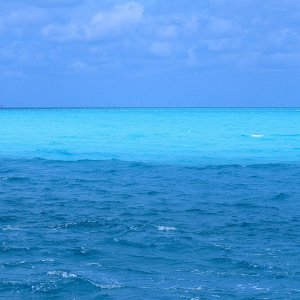 Nature Pic  1303