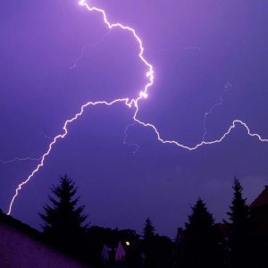 Nature Force Pic  13