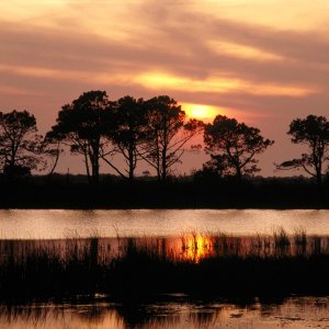 Nature Pic  2000